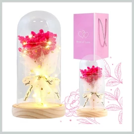 Örök virág búra alatt LED világítással ROZ23