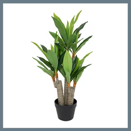 Műnövény, zöld levelek, fekete cserép 198198