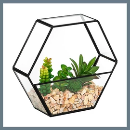 Műnövény terráriumban 204287
