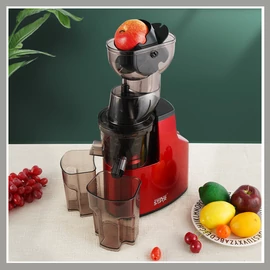 Winning Star Lassú Gyümölcsprés / Juice Extractor ST-1000