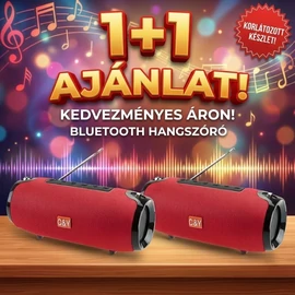 COLDYIR bluetooth hangszóró 1+1 AJÁNLAT CY-125BT-2