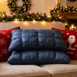 2 Darabos Prémium Mikroszálas Párna Szett (48 x 74 cm) (Kék) PV11470751-K