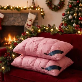 2 Darabos Prémium Mikroszálas Párna Szett (48 x 74 cm) (Rózsaszín) PV11470751-R