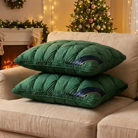 2 Darabos Prémium Mikroszálas Párna Szett (48 x 74 cm) (Zöld) PV11470751-Z