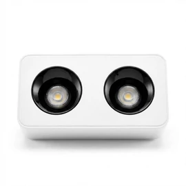 Modern Téglalap LED Mennyezeti Lámpa - 2-es Spot (Fehér/Fekete) LEDS-02