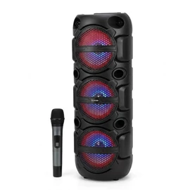 Party Hangfal Mikrofonnal (30W) CS-8309