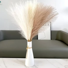 18 darabos pampafű dekoráció – krém, bézs és barna színekben KQ9029170