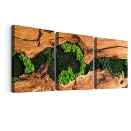 3 darabos fa hatású botanikus vászon falikép szett 30 × 40 cm KU7309284