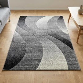 Carnaval collection szőnyeg 200 x 290 cm - Szürke hullámok 04802A