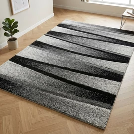 Carnaval collection szőnyeg 200 x 290 cm - Sötét csíkos 04807A