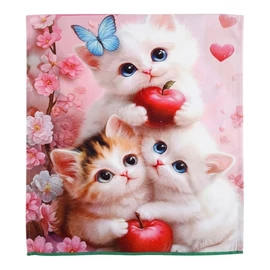 Konyharuha szett 12 darabos cicás mintával KHSZ-3