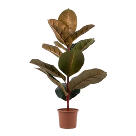 Dekoratív mű fikusz növény kaspóban FIK1