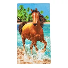 Színes mintás strandtörölköző (70x140 cm) H-70X140-15