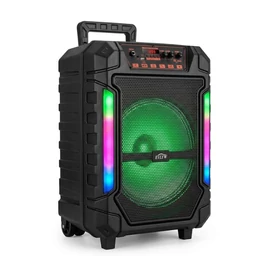 EVLYW hordozható Bluetooth party hangszóró karaoke szett YE-12001