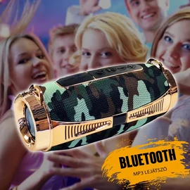 Bluetooth MP3 lejásztó