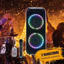 Karaoke hangfal dupla hangszóróval CH8811