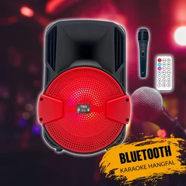 Karaoke hangfal mikrofonnal DG1011