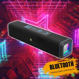 Romis hordozható hangszóró RMS8100