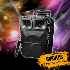 Karaoke hangfal mikrofonnal KE21903