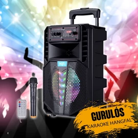 Karaoke hangfal mikrofonnal NDF12