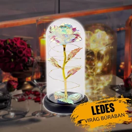 Ledes rózsa üvegburában