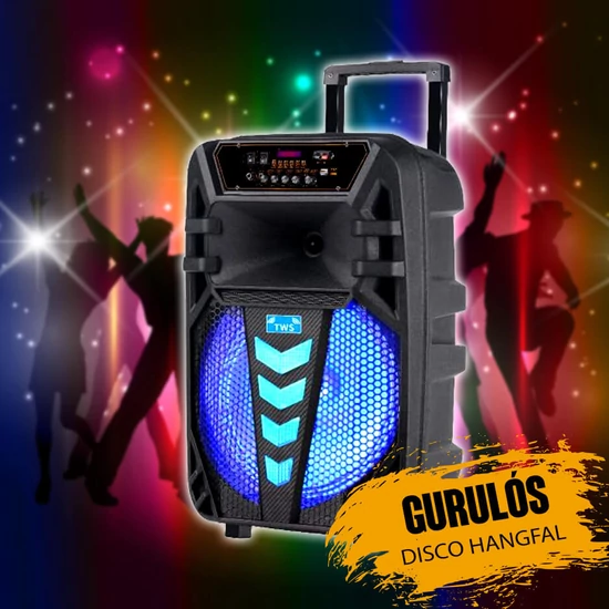 Karaoke hangfal mikrofonnal GZ1012